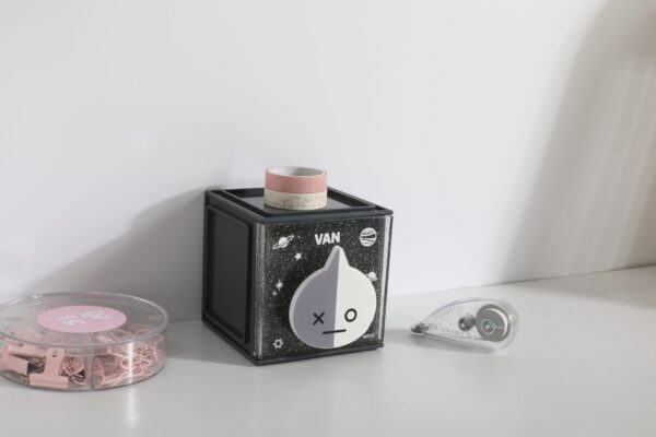 BT21 Collection Small Storage Cube (VAN)